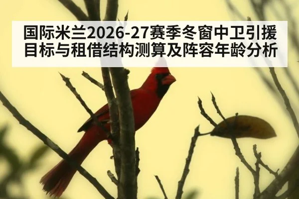 国际米兰2026-27赛季冬窗中卫引援目标与租借结构测算及阵容年龄分析